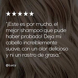 L' Oréal Professionnel Serie Expert - Shampoo reparador para cabello dañado Absolut Repair Gold 500ml